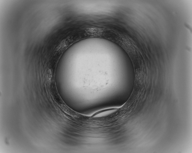 X0000094770752200712071133