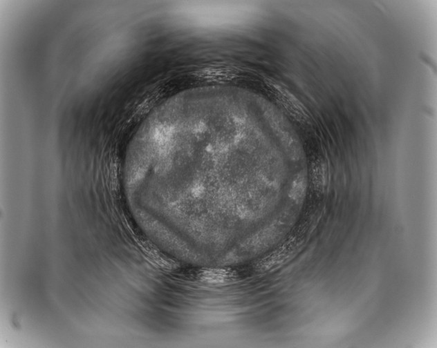 X0000094770757200712071133