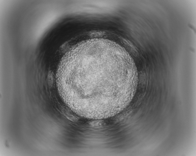 X0000094770761200712071133