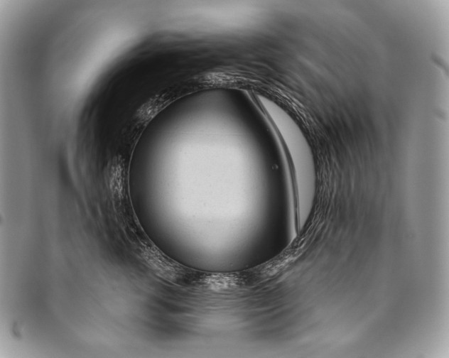 X0000094770762200712071133