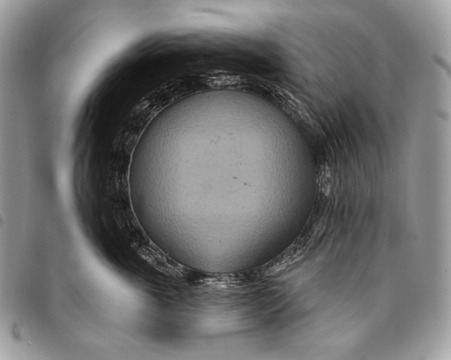 X0000094770763200712071133