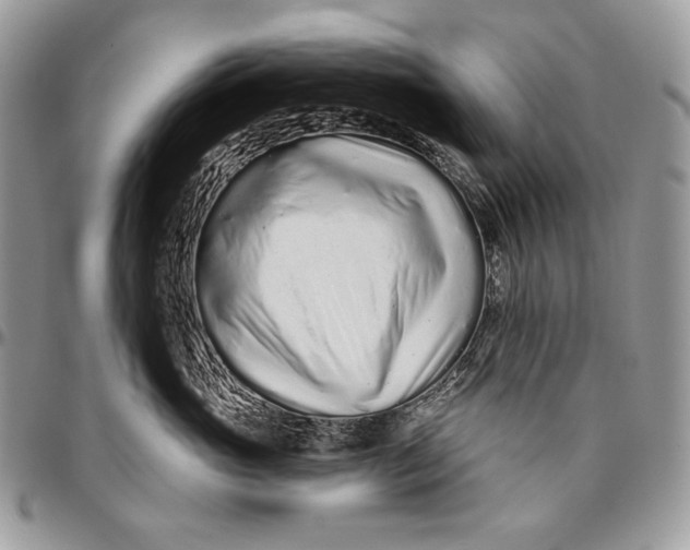 X0000094770765200712071133