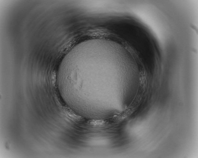 X0000094770767200712071133