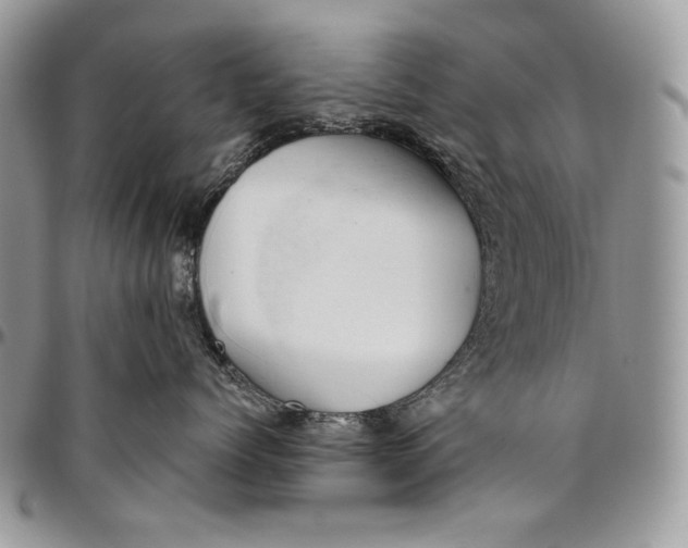 X0000094770768200712071133