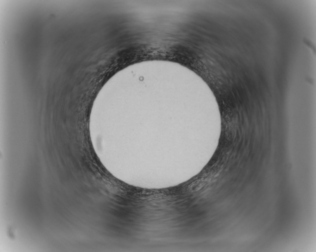 X0000094770769200712071133