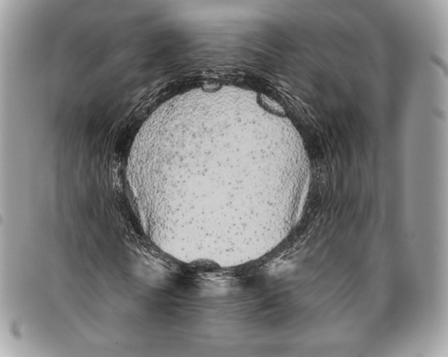 X0000094770770200712071133