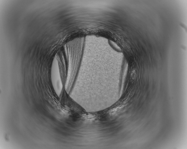 X0000094770772200712071133