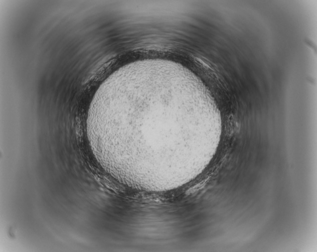 X0000094770774200712071132