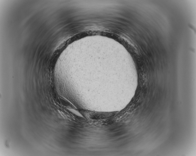 X0000094770775200712071132