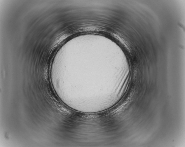 X0000094770778200712071132