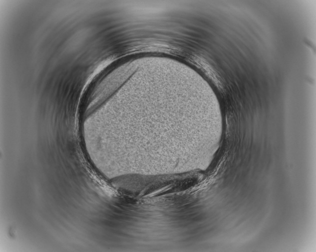 X0000094770780200712071132