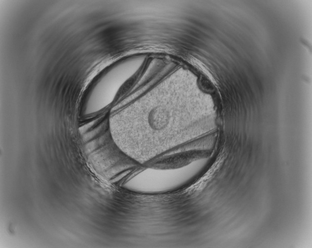 X0000094770781200712071132