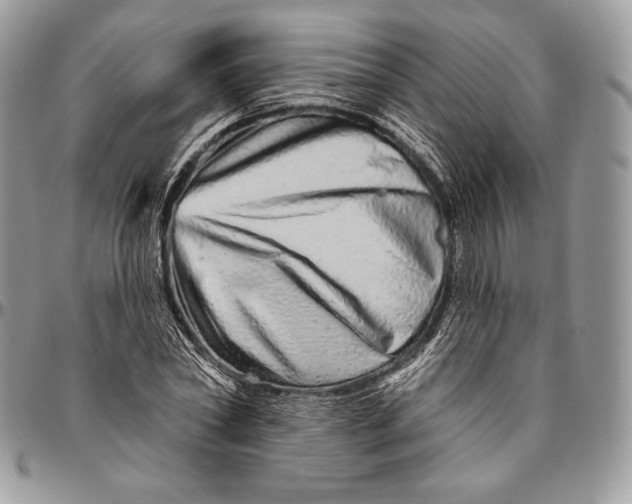 X0000094770782200712071132