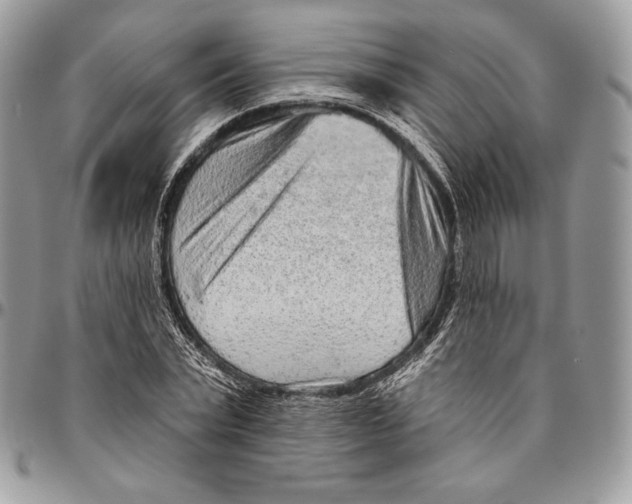 X0000094770783200712071132