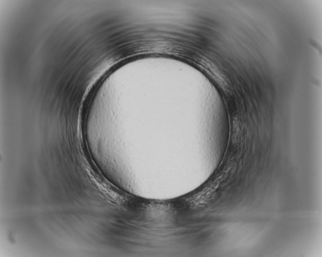 X0000094770788200712071132