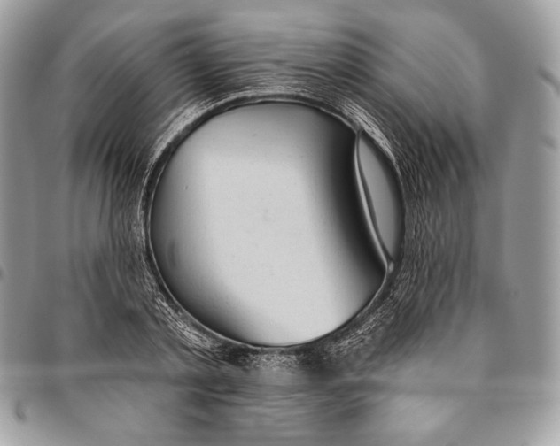 X0000094770789200712071132