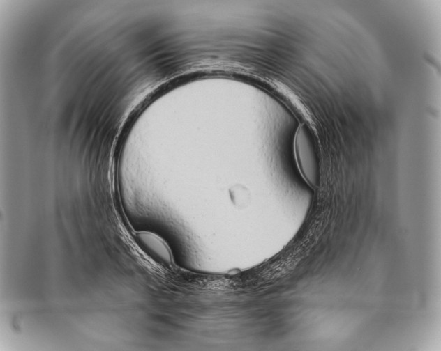 X0000094770791200712071132