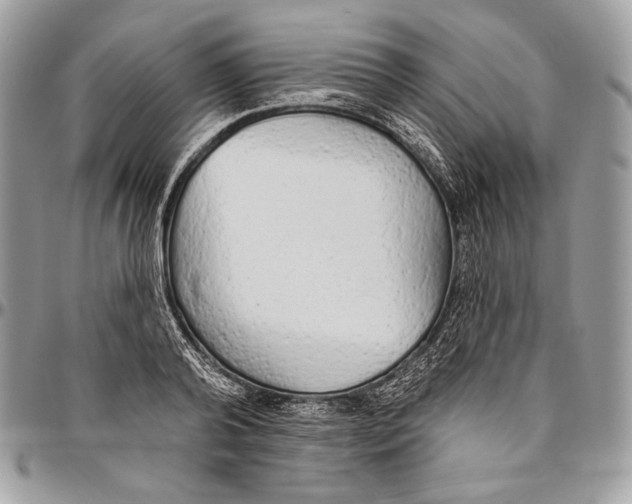 X0000094770792200712071132