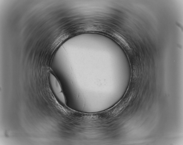 X0000094770793200712071132