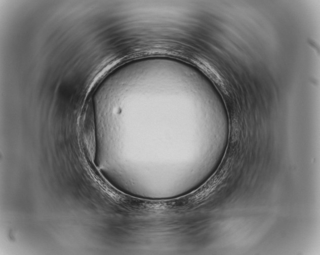 X0000094770798200712071132