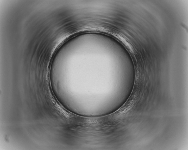 X0000094770799200712071132