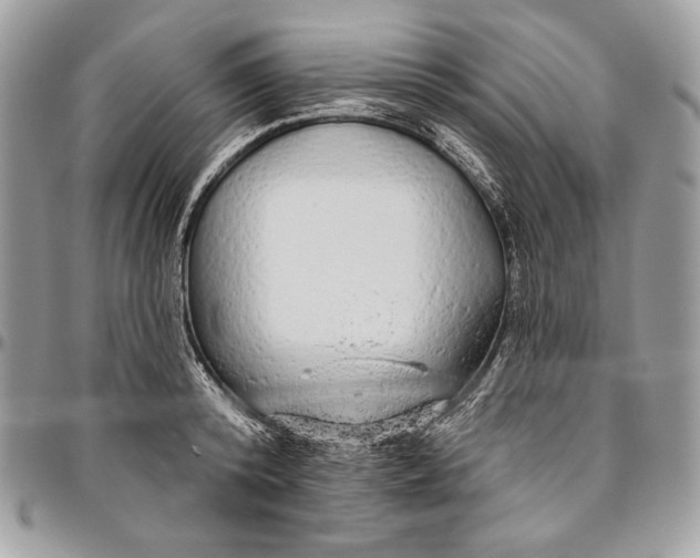 X0000094770800200712071132