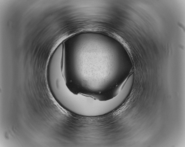 X0000094770803200712071132