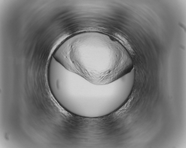 X0000094770804200712071132