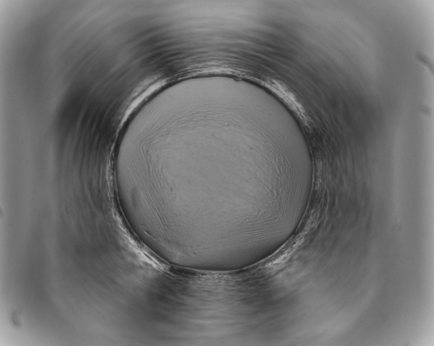 X0000094770806200712071132