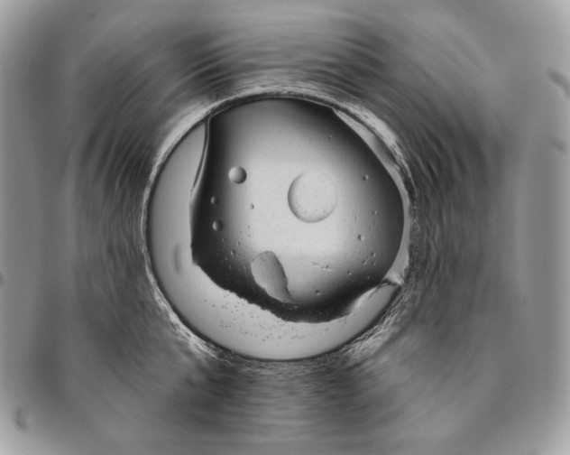 X0000094770807200712071132