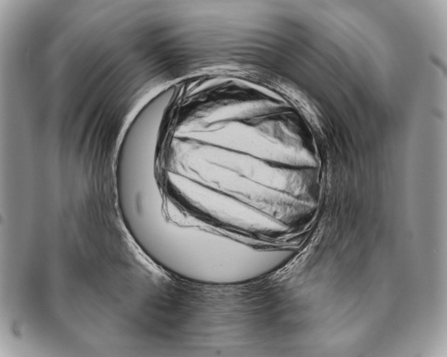 X0000094770808200712071132