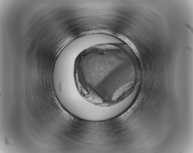 X0000094770809200712071132