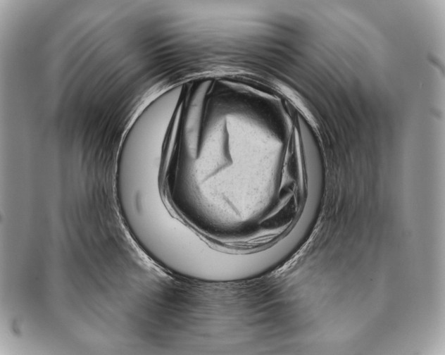 X0000094770810200712071132