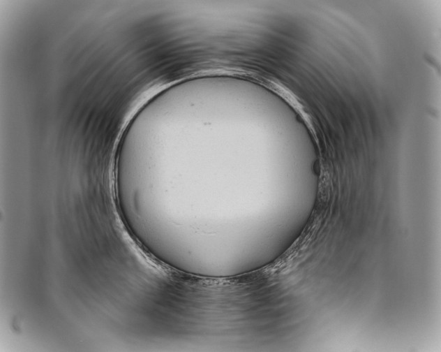 X0000094770811200712071132