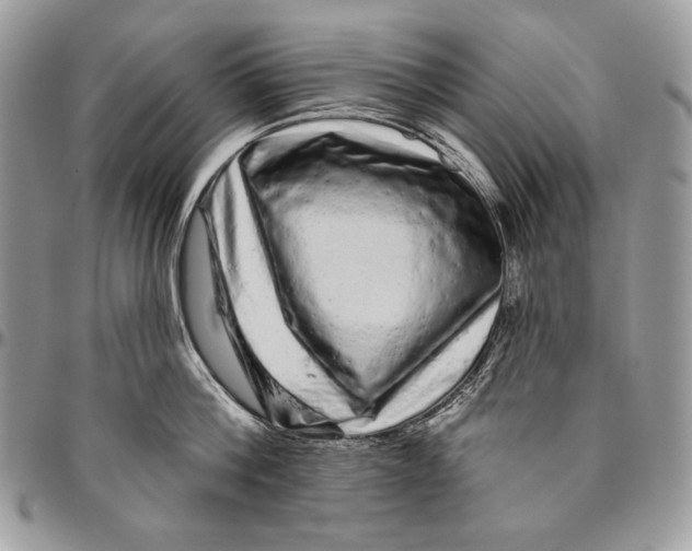 X0000094770812200712071132