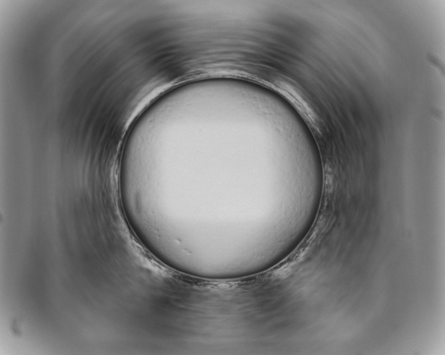 X0000094770814200712071132