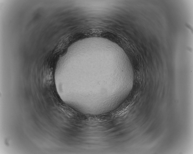 X0000094770818200712071131