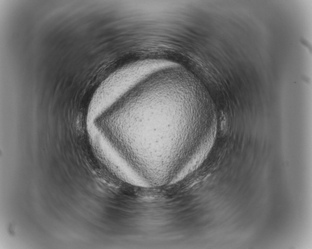 X0000094770819200712071131