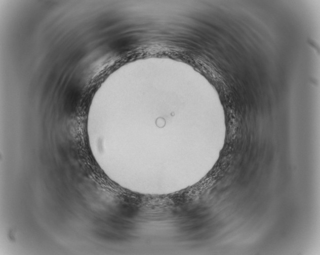 X0000094770824200712071131