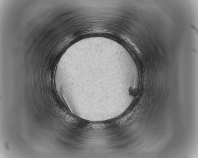 X0000094770825200712071131