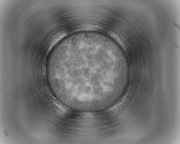 X0000094770827200712071131