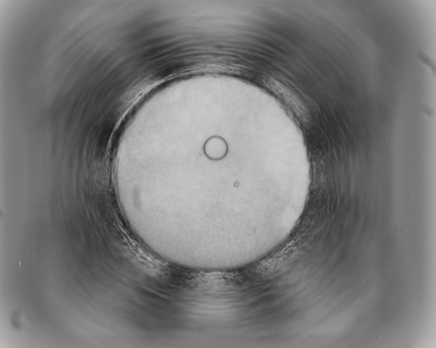 X0000094770828200712071131