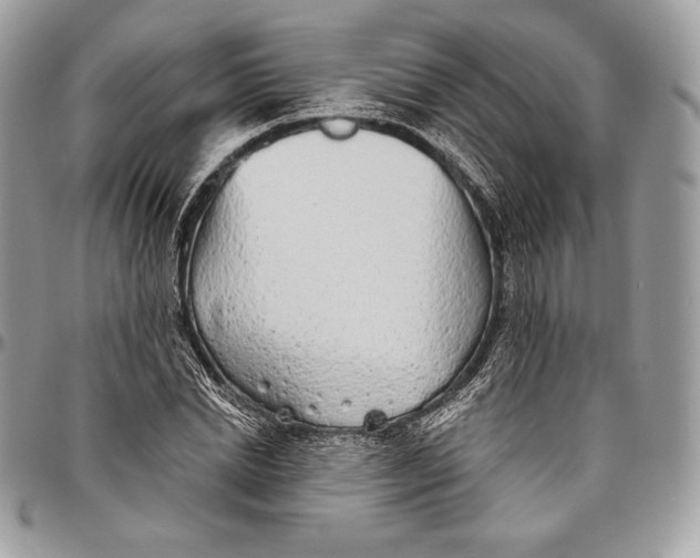 X0000094770830200712071131