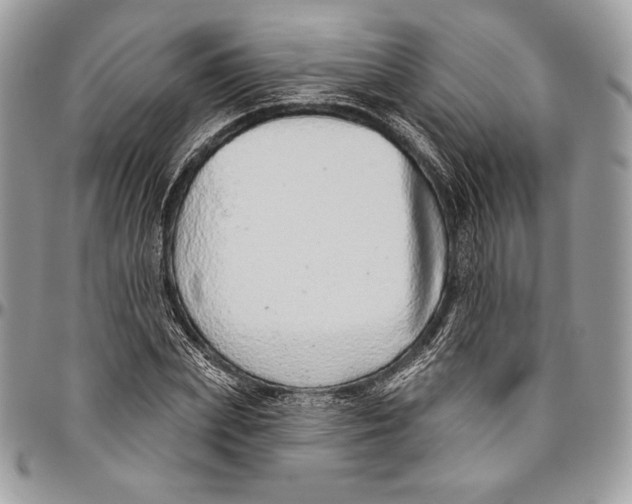 X0000094770831200712071131