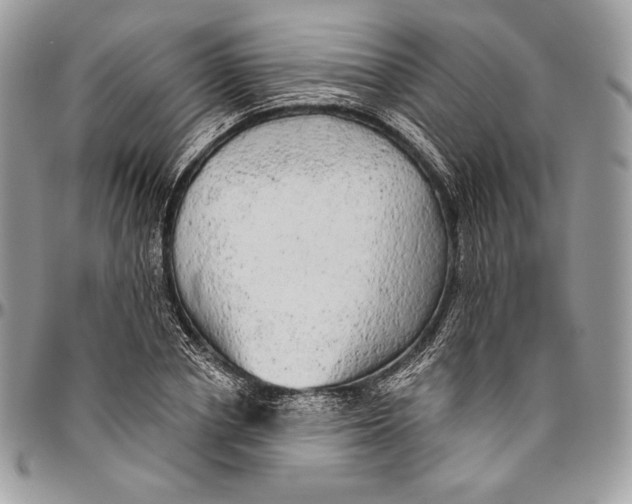 X0000094770834200712071131