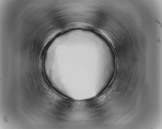 X0000094770835200712071131