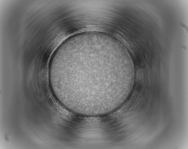 X0000094770836200712071131