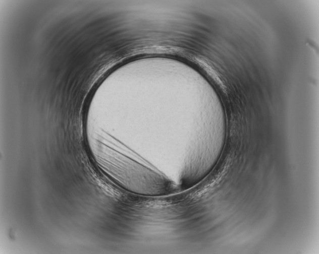 X0000094770837200712071131