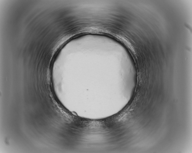 X0000094770839200712071131