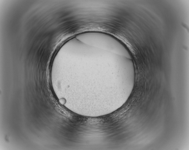 X0000094770840200712071131